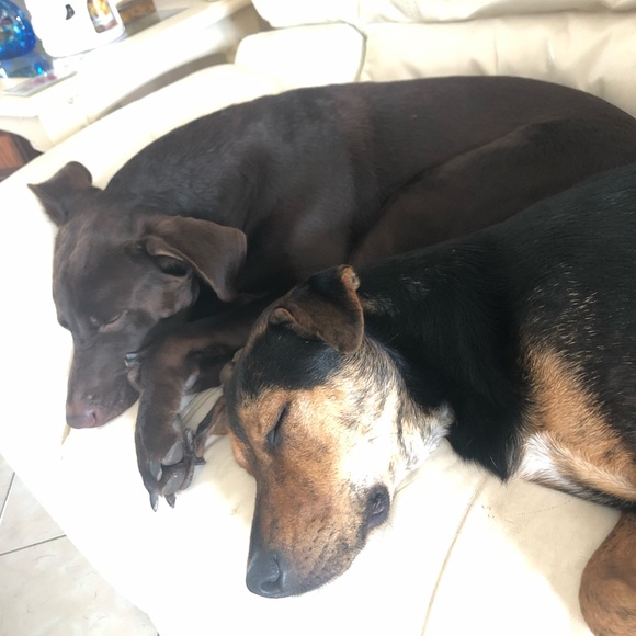 Meet your Posher, Monica - Picture 4 of 5